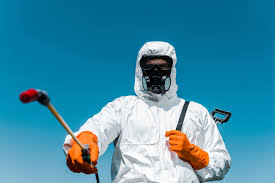 Best Termite Inspection and Treatment  in Hudson, IL